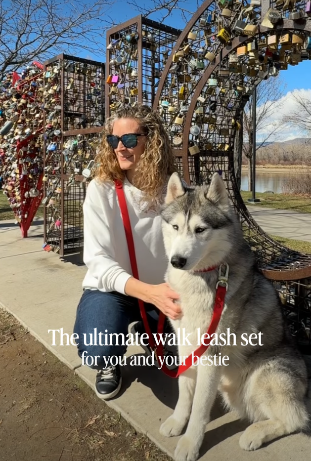 Dog owner with dog
