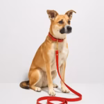 Luxe Microfibre Leather – Crimson