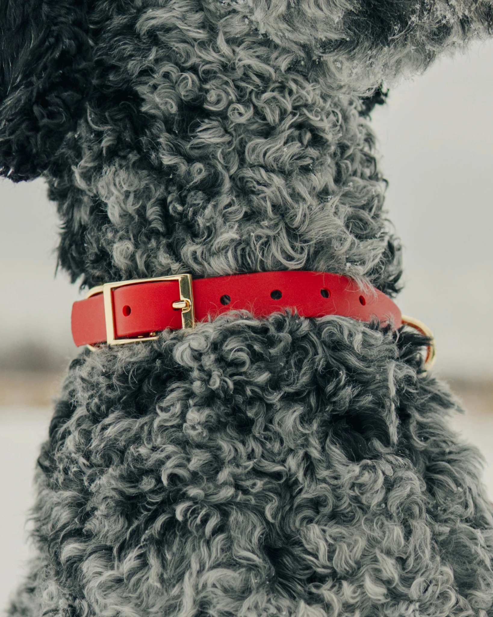 Red Walk Set – PVC